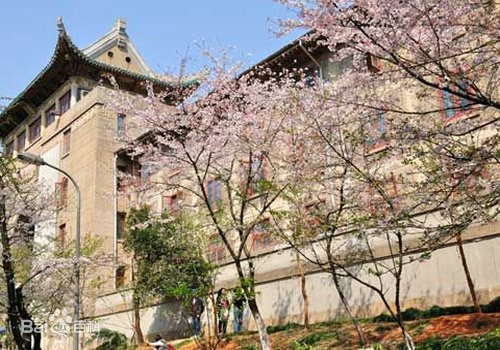 武漢大学のキャンパス内の桜