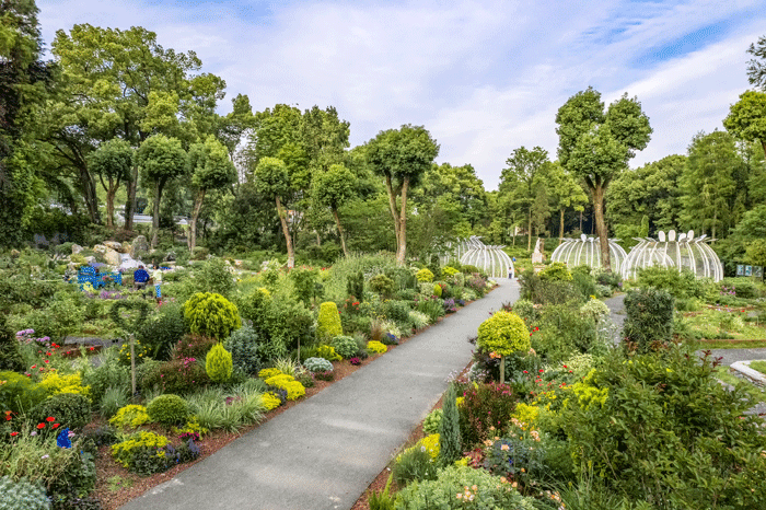 武漢植物園の写真