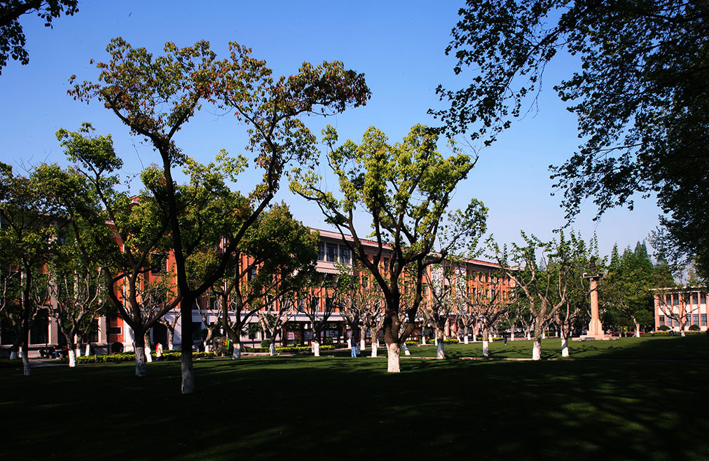 同済大学の写真