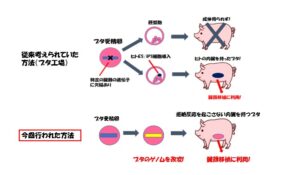 ライフサイエンスのイメージ写真