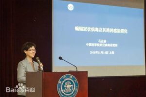 石正麗のアイキャッチ